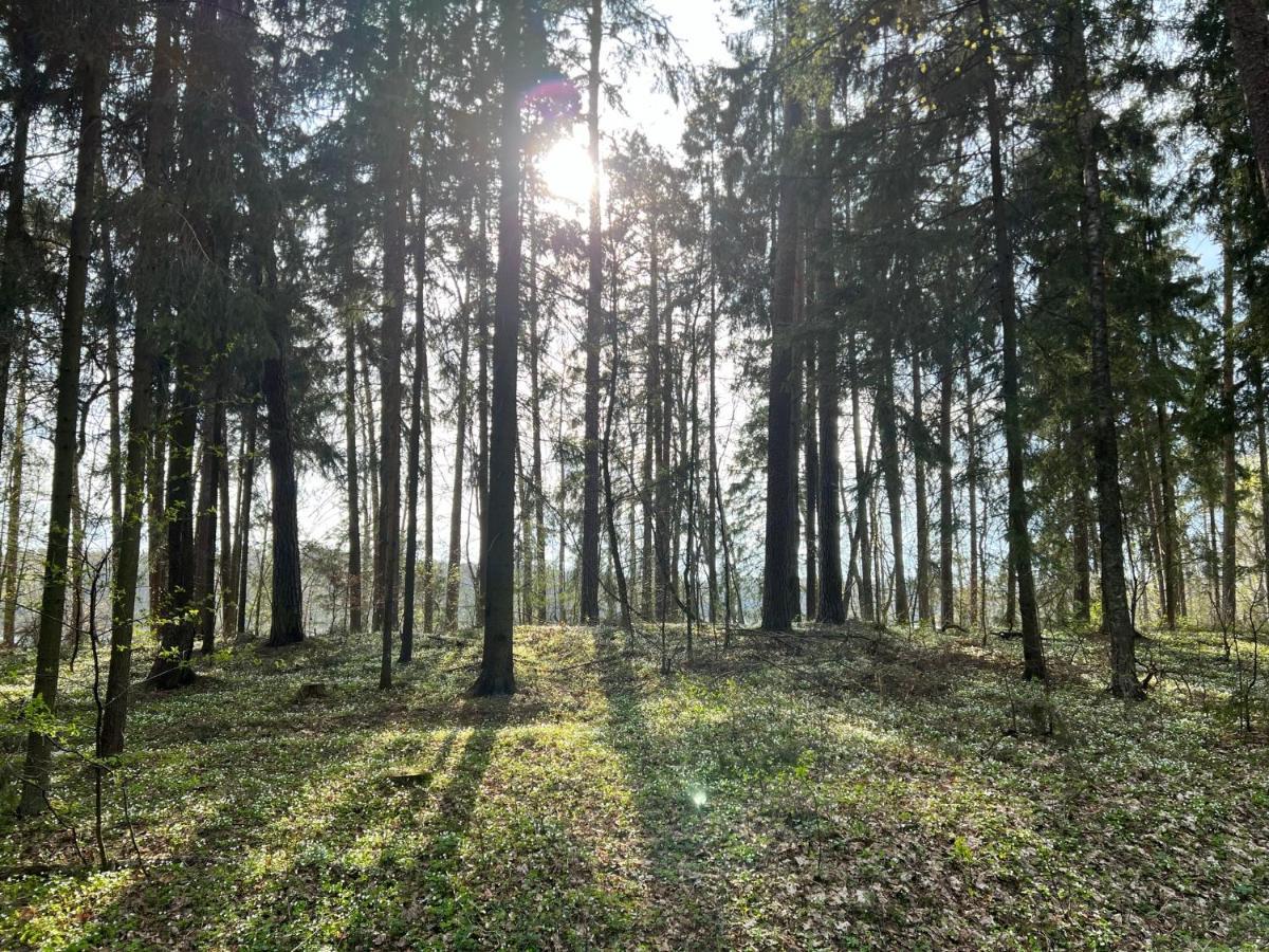 Raciborowka Lägenhet Swietajno  Exteriör bild