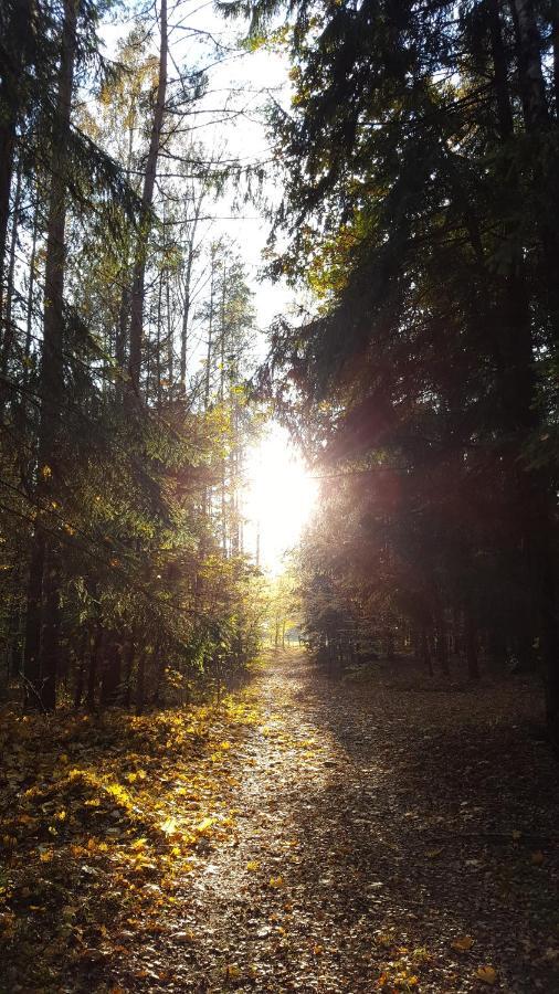 Raciborowka Lägenhet Swietajno  Exteriör bild